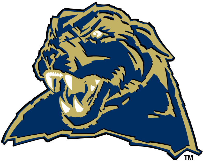 Pittsburgh Panthers 1997-Pres Secondary Logo diy iron on heat transfer